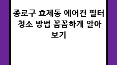 종로구 효제동 에어컨 필터 청소: 깨끗한 공기, 상쾌한 여름