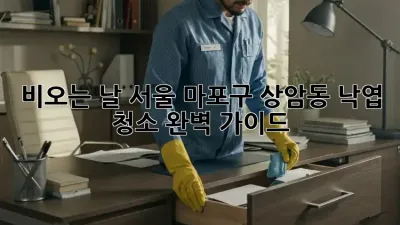 비오는 날 서울 마포구 상암동 낙엽 청소 완벽 가이드